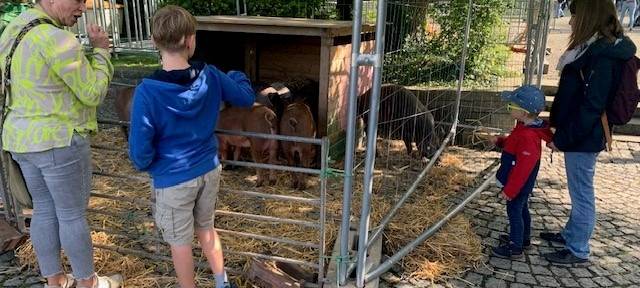 Essen erntet im Grugapark: Wenn der Bauernhof in die Stadt kommt
