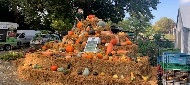 Essen erntet im Grugapark: Wenn der Bauernhof in die Stadt kommt