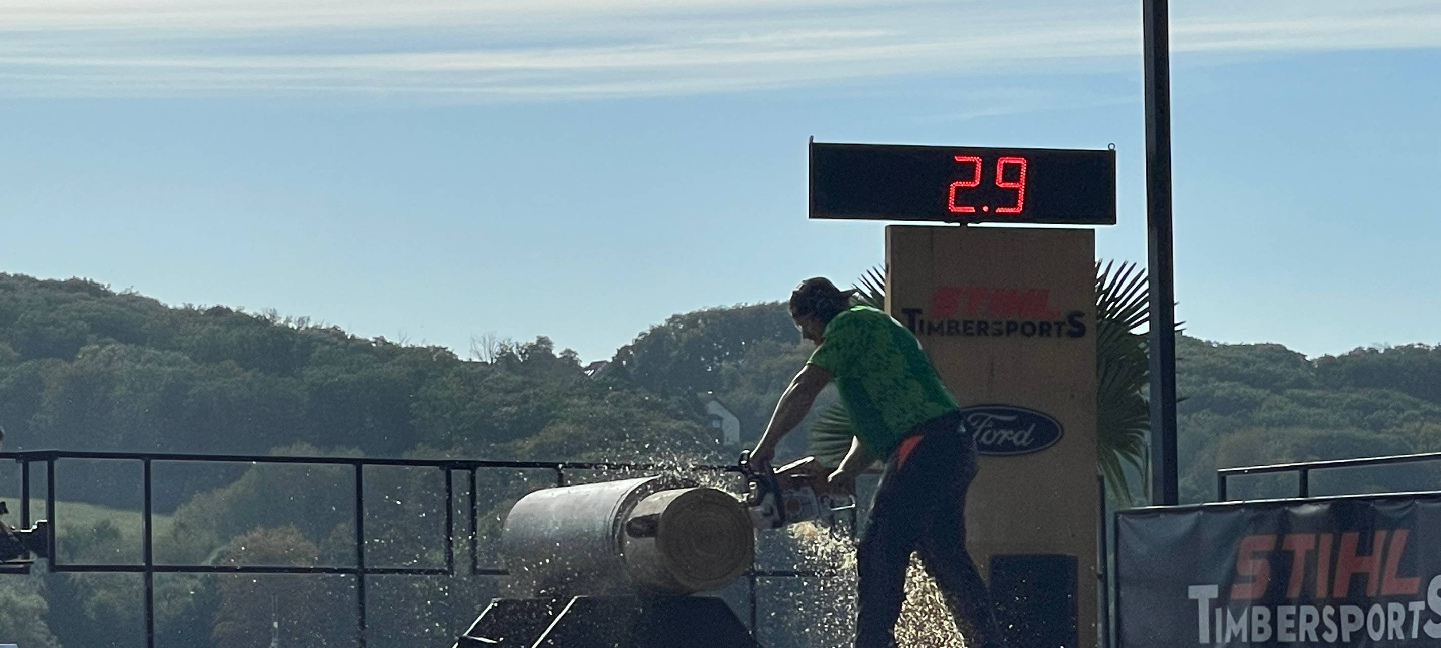 Essen: Noch mehr gefährliche Bäume müssen dringend weg