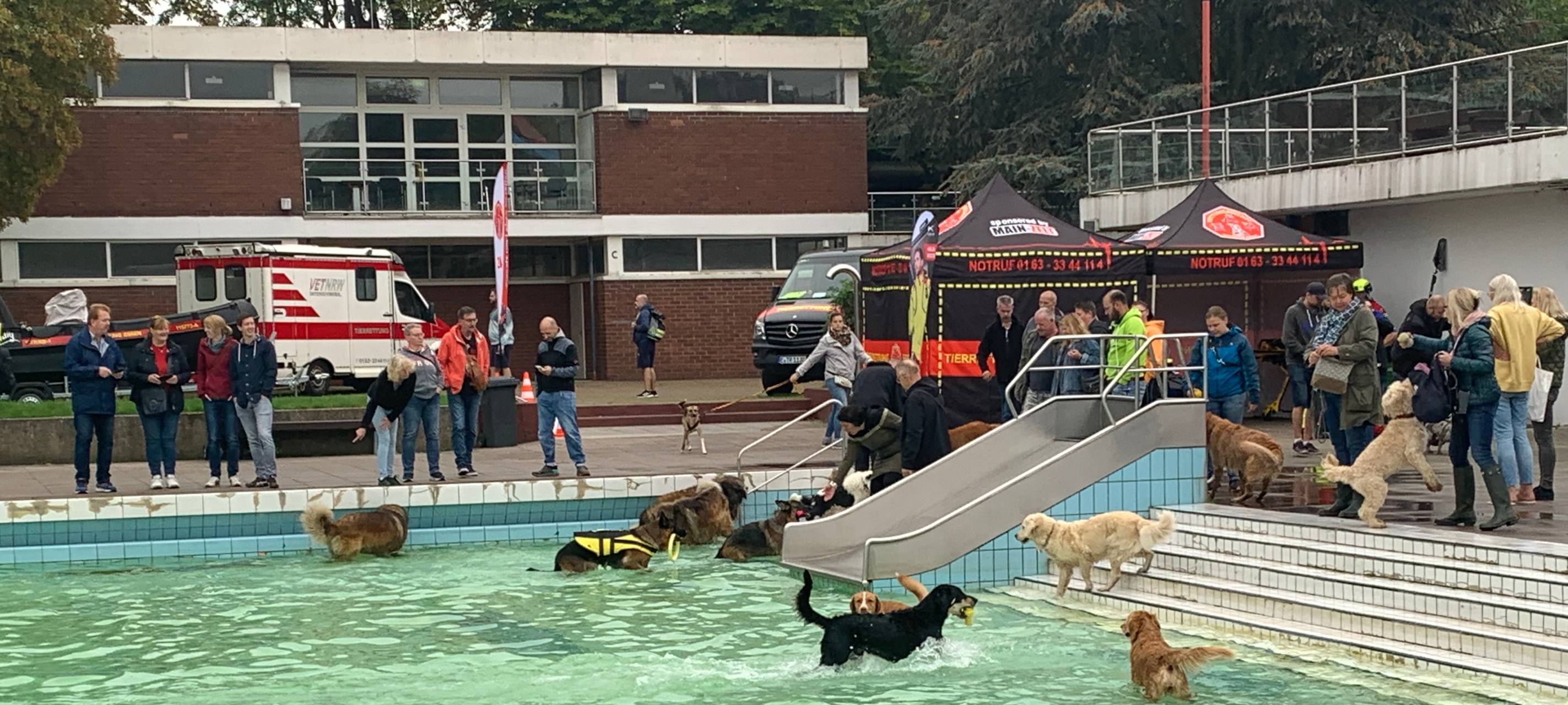 Grugabad in Essen: Zum Saisonabschluss dürfen die Hunde ins Wasser
