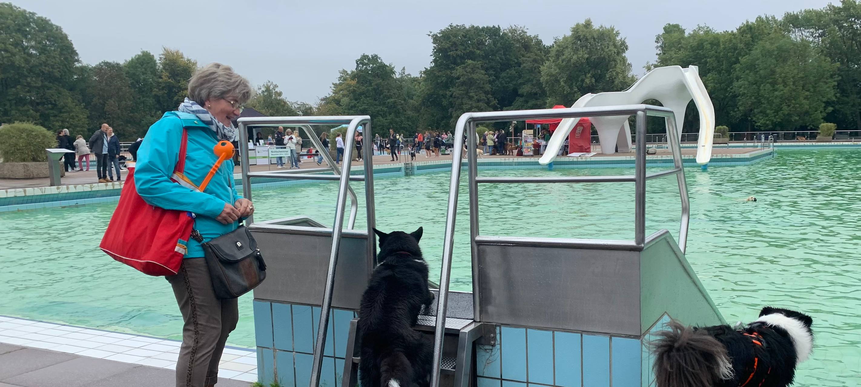 Grugabad in Essen: Zum Saisonabschluss dürfen die Hunde ins Wasser