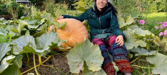 Schönster Kürbis in Essen gekürt