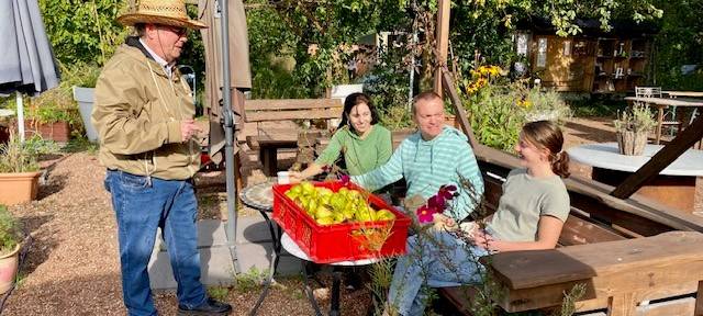Schönster Kürbis in Essen gekürt