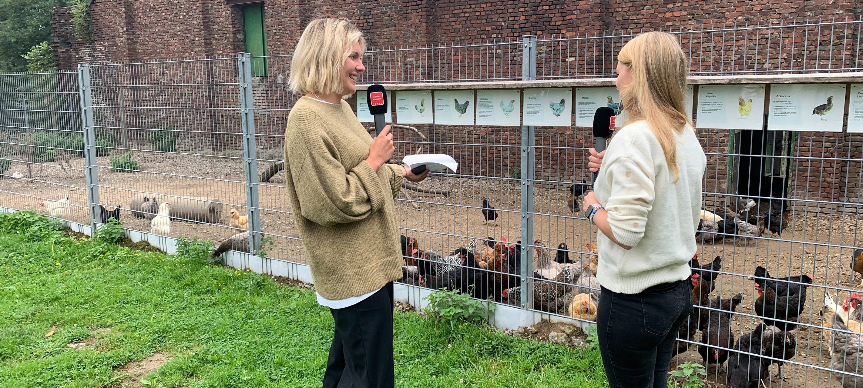 alpakamomente_alpakas_gut-gatzweiler_radio-essen-podcast-essen-im-ohr