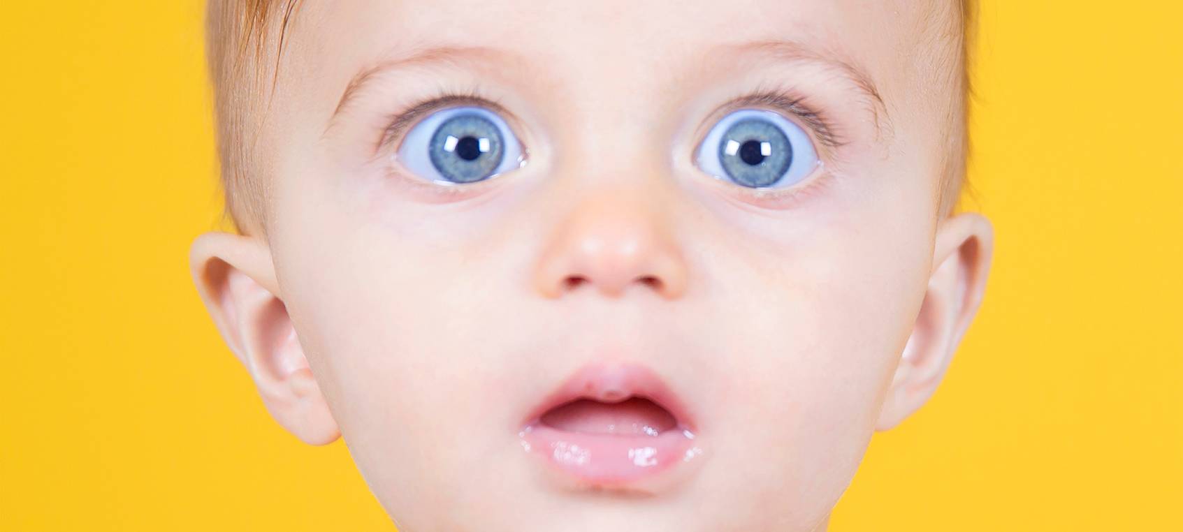 Museum Folkwang in Essen stellt Jahresprogramm vor