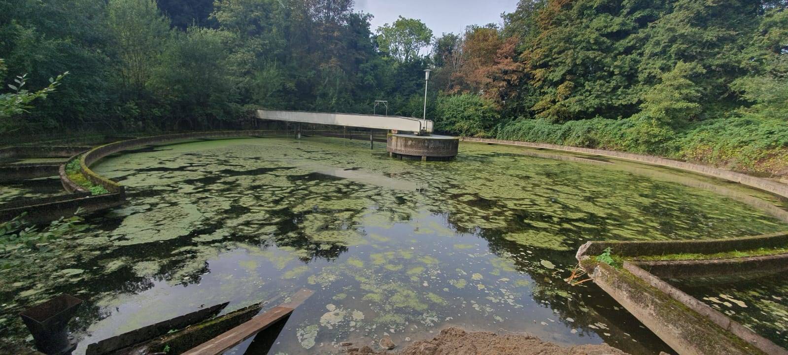 Umweltpreis Essen 2023: Das sind die Gewinner!