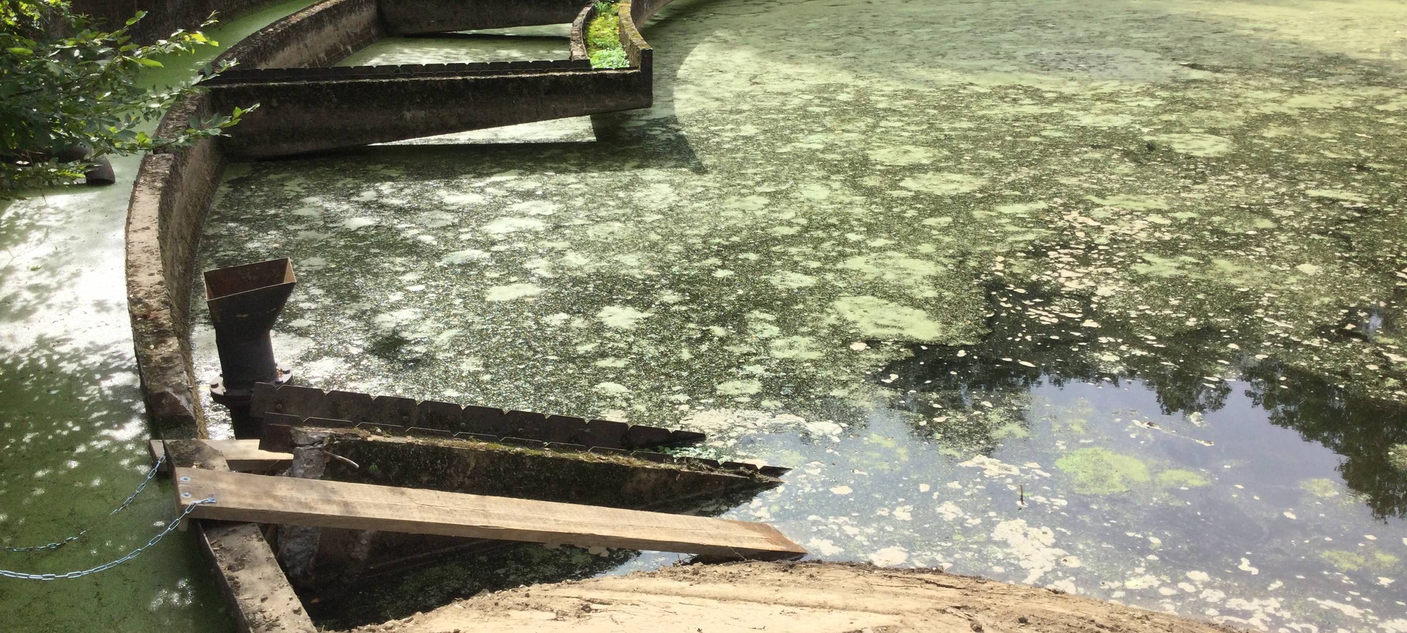 Umweltpreis Essen 2023: Das sind die Gewinner!