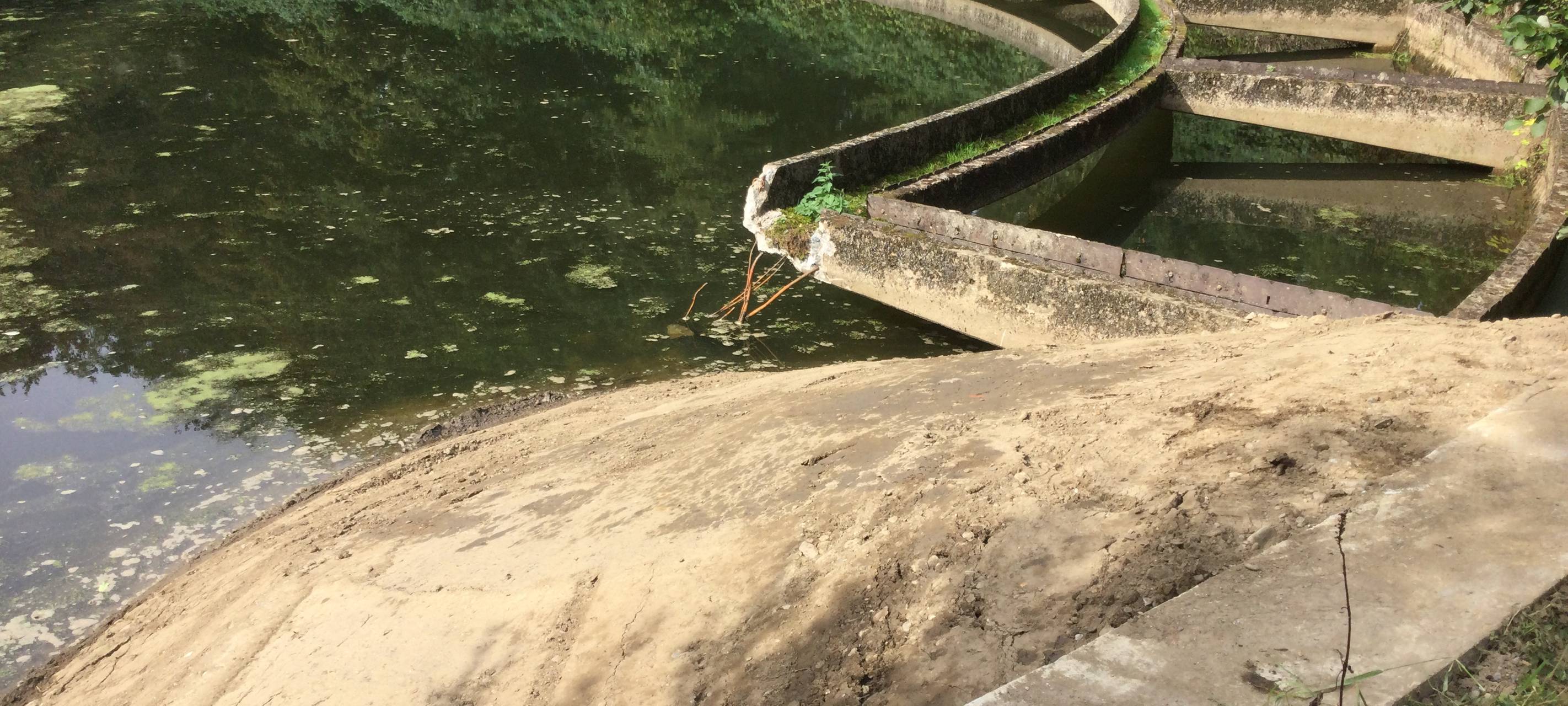 Umweltpreis Essen 2023: Das sind die Gewinner!