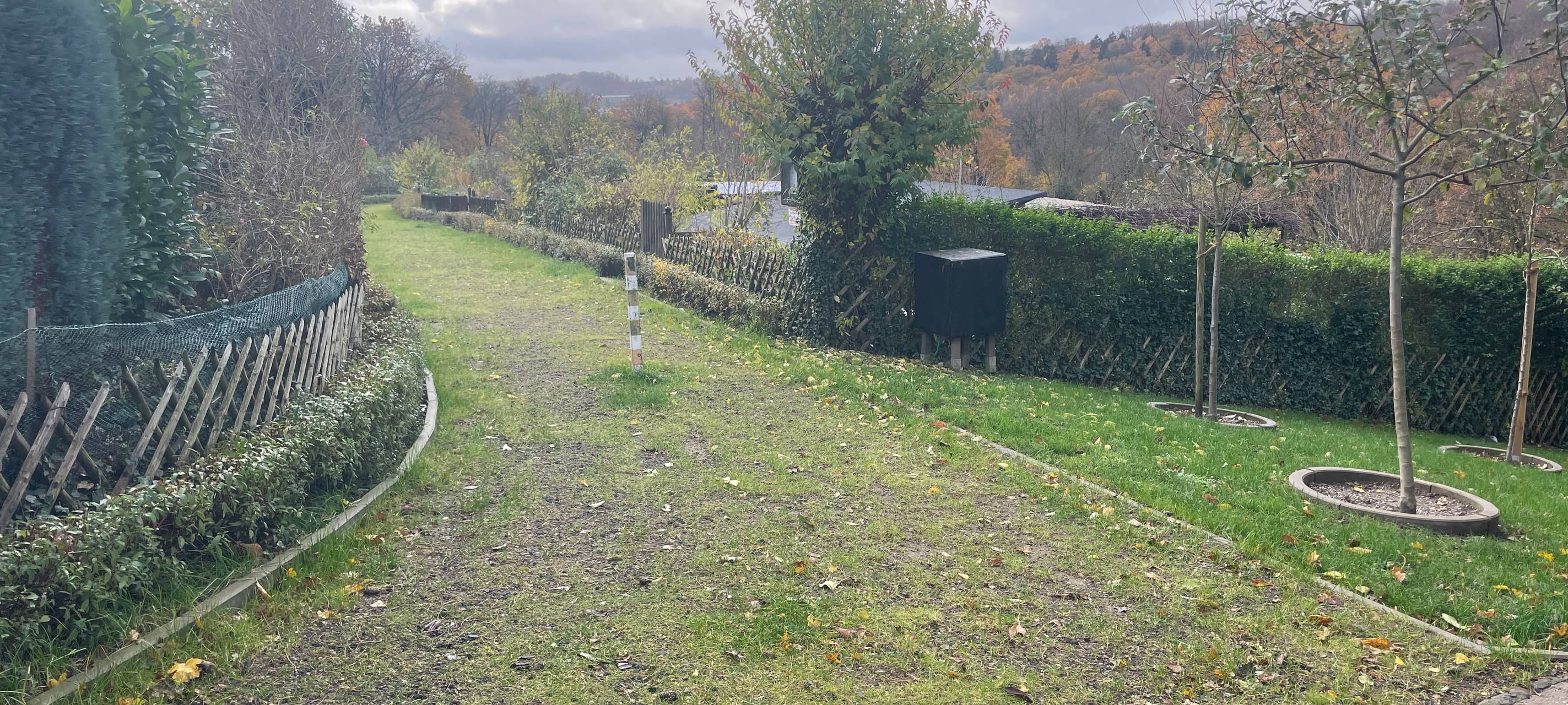 Umweltpreis Essen 2023: Das sind die Gewinner!