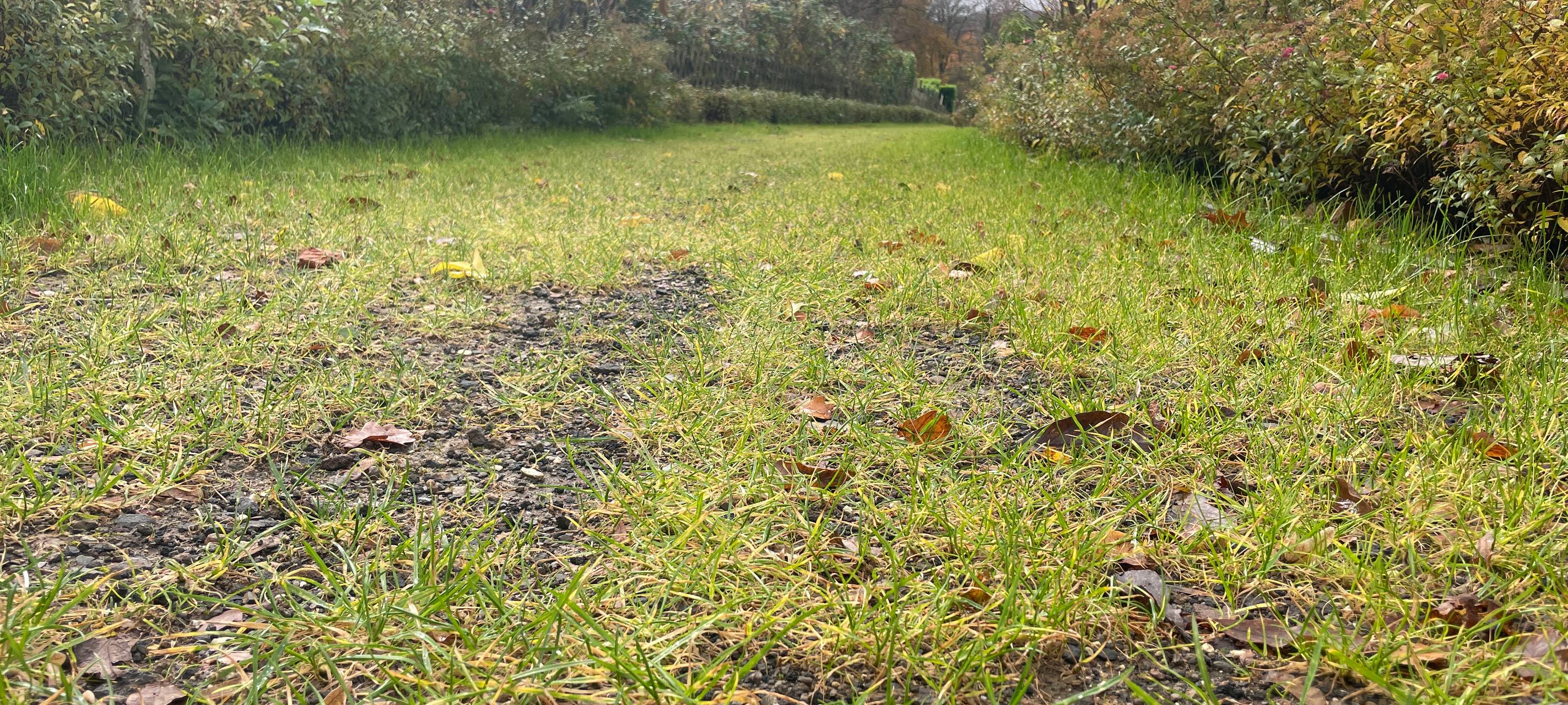 Umweltpreis Essen 2023: Das sind die Gewinner!