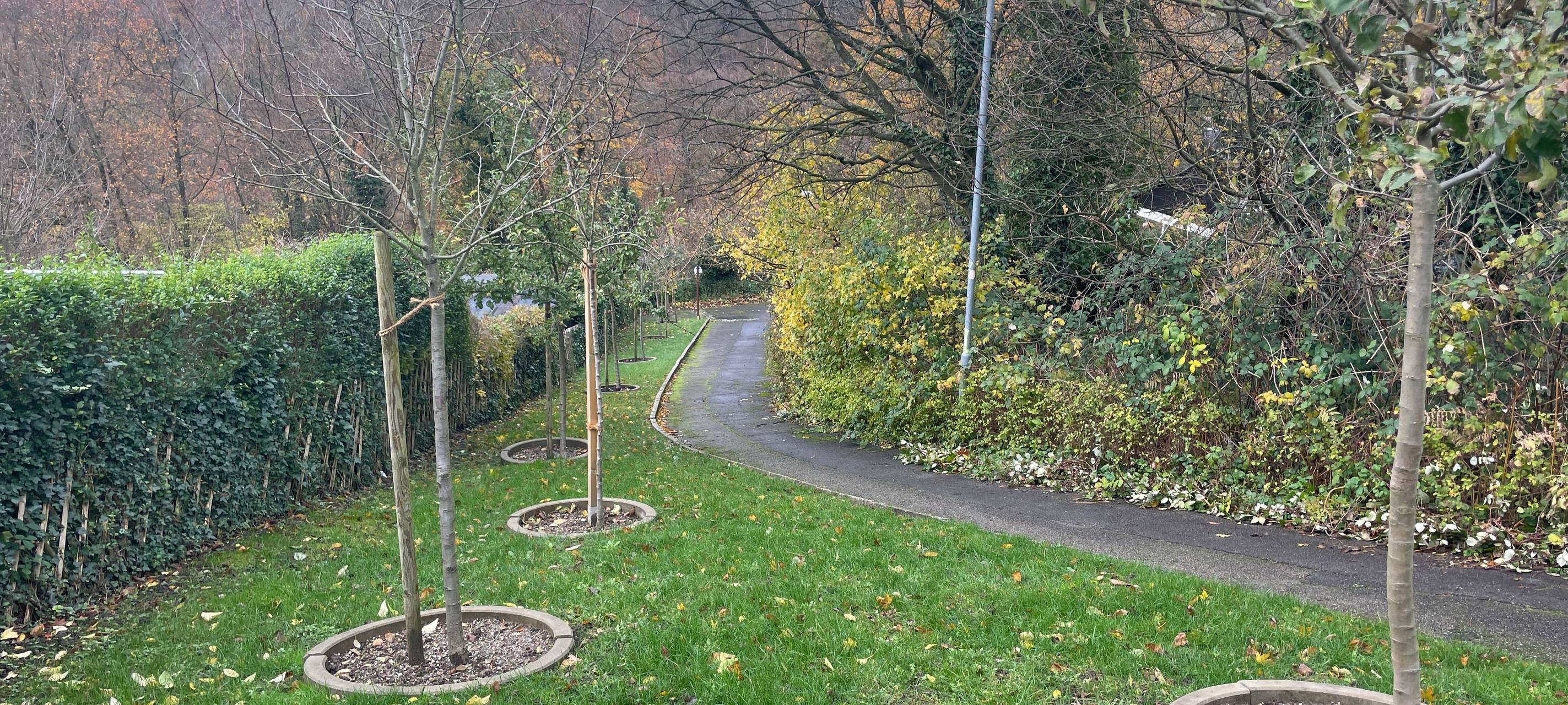 Umweltpreis Essen 2023: Das sind die Gewinner!