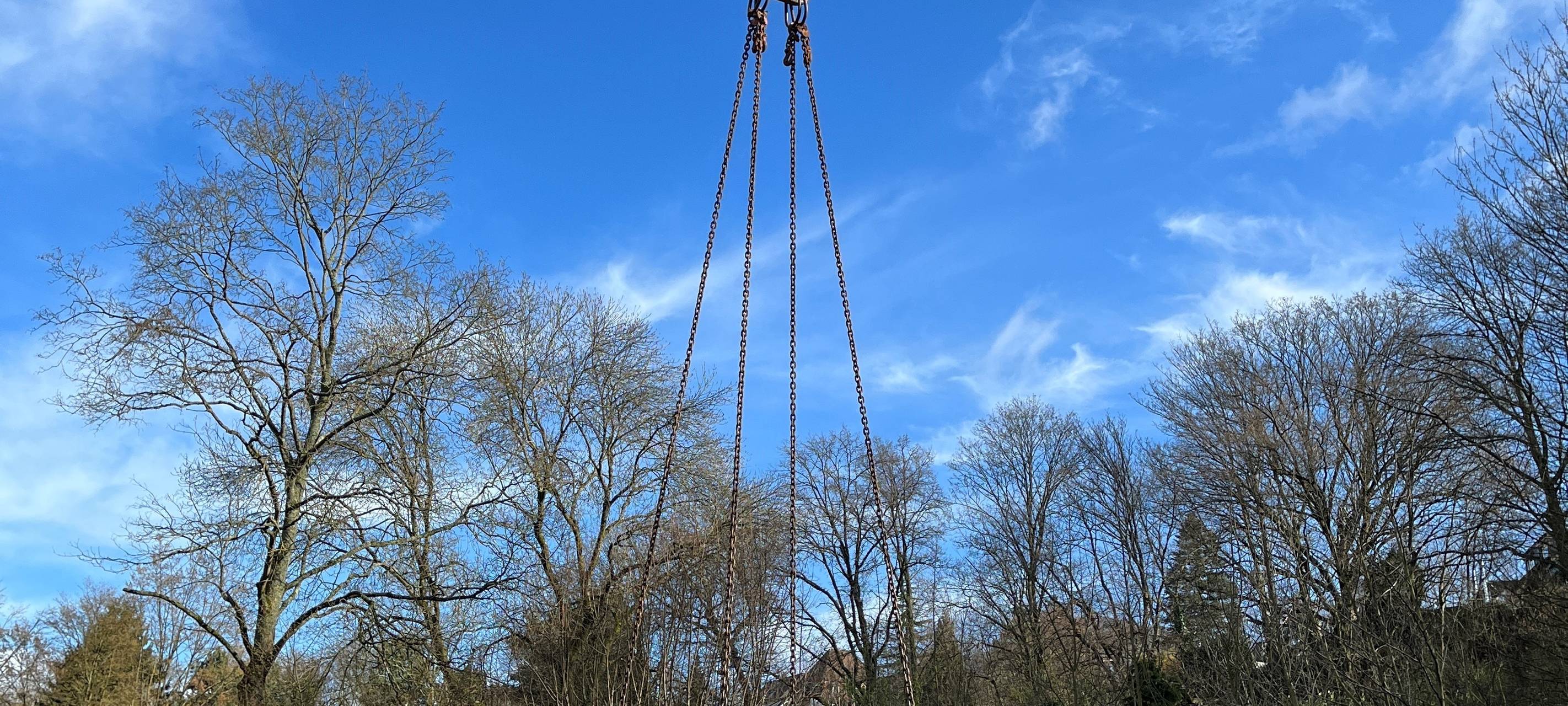 Stadtwerke Essen fällen Bäume im Siepental