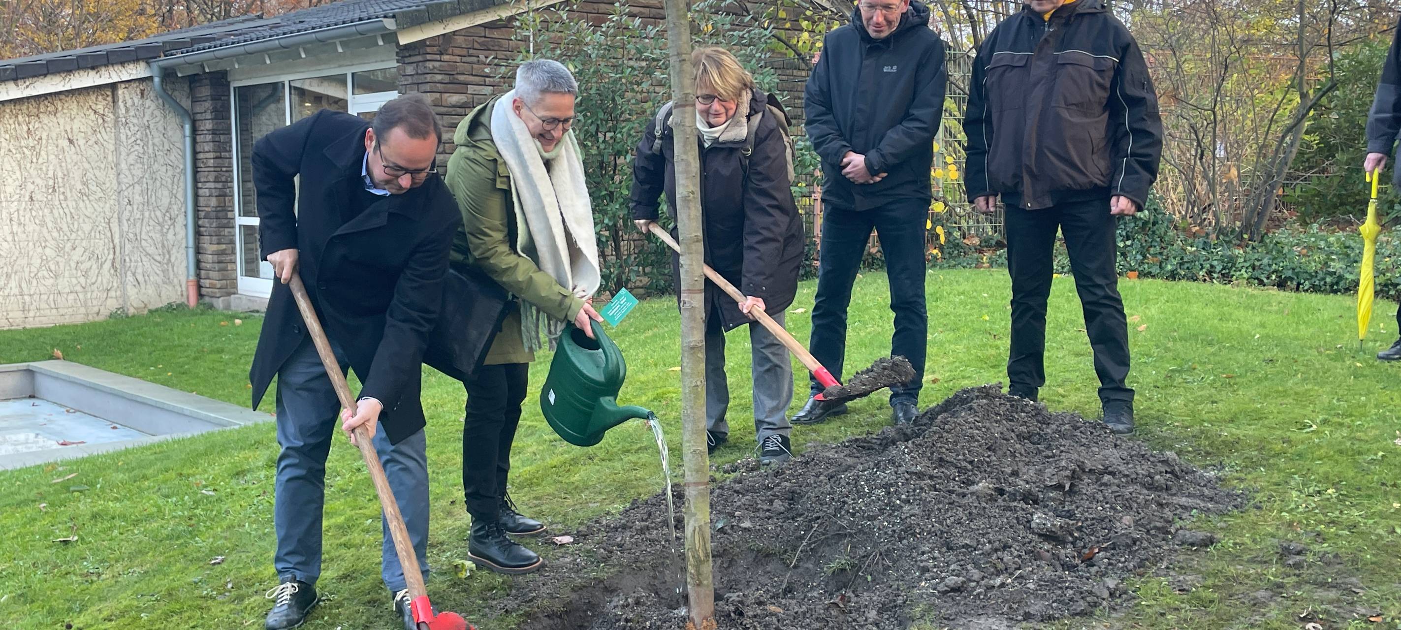 Baum in Essen als Zeichen für Frieden gepflanzt