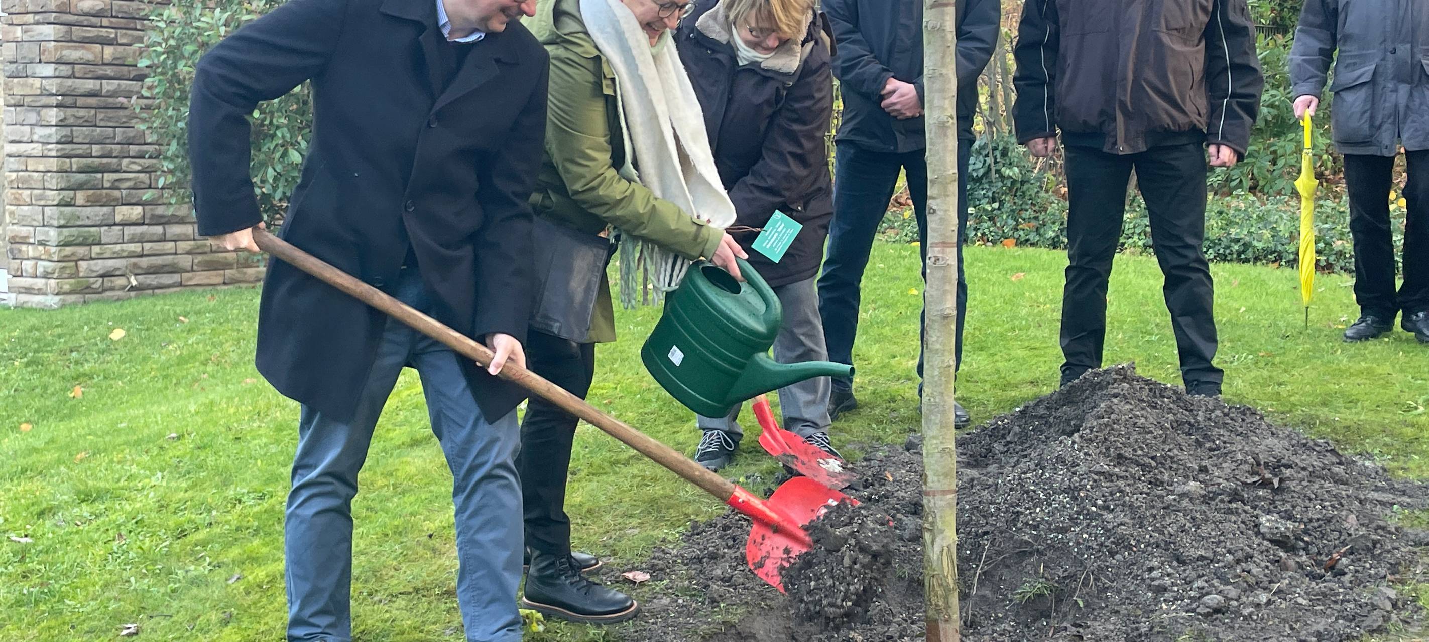 Baum in Essen als Zeichen für Frieden gepflanzt