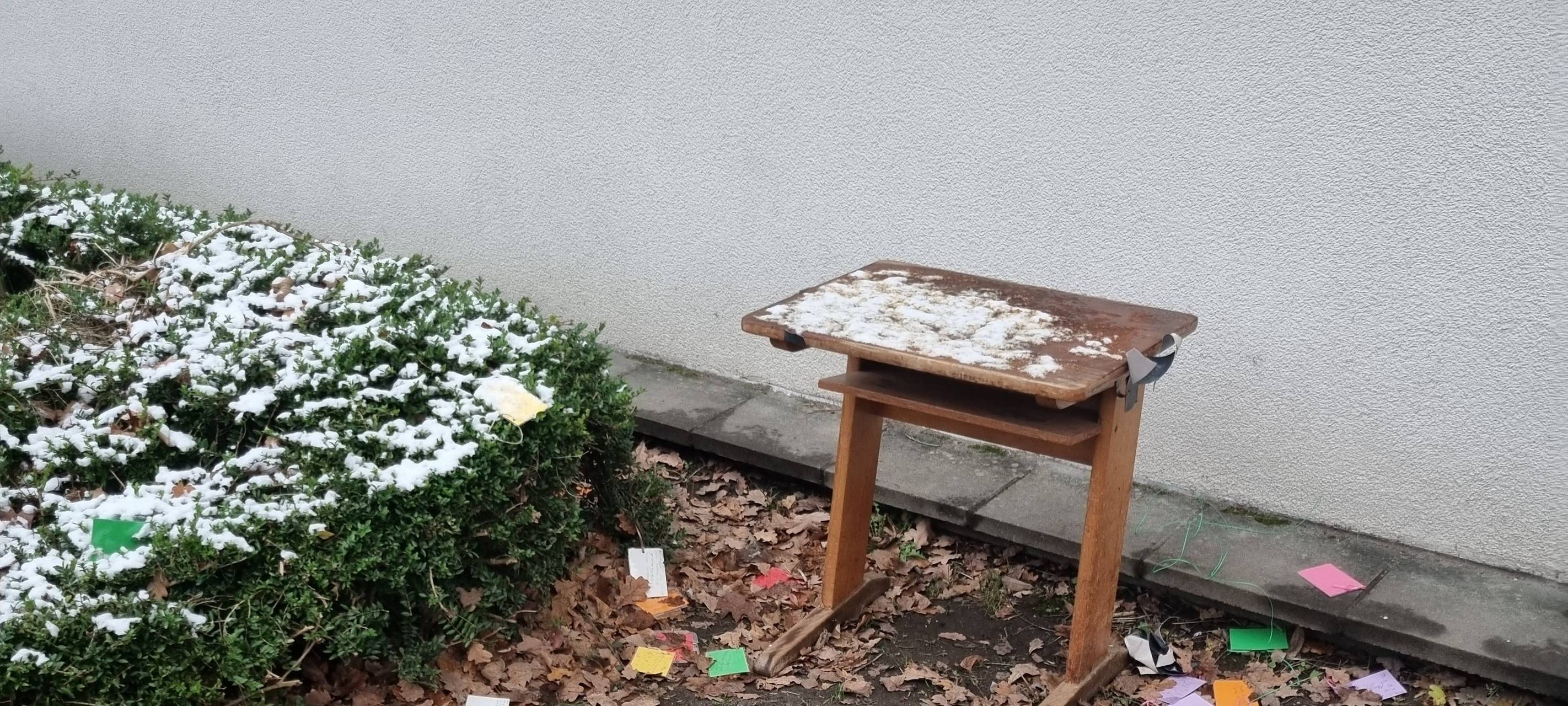 Weihnachtsbaum in Essen von Schulgelände geklaut
