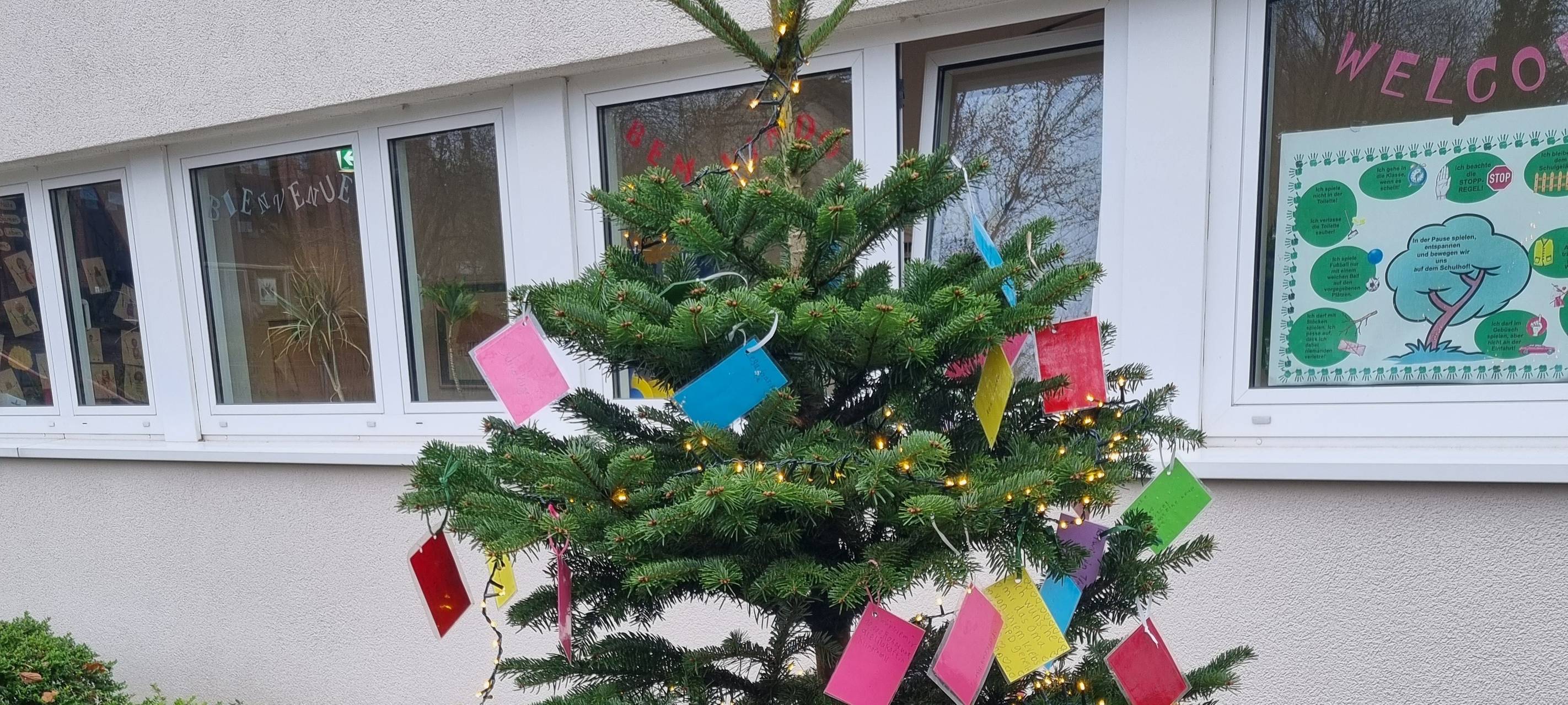 Weihnachtsbaum in Essen von Schulgelände geklaut