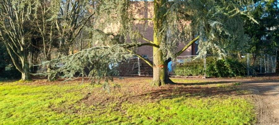 Essen: Vandalismus im Schlosspark Borbeck