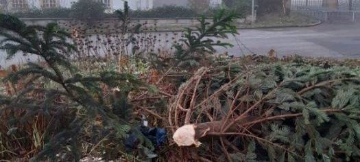 Essen: Vandalismus im Schlosspark Borbeck