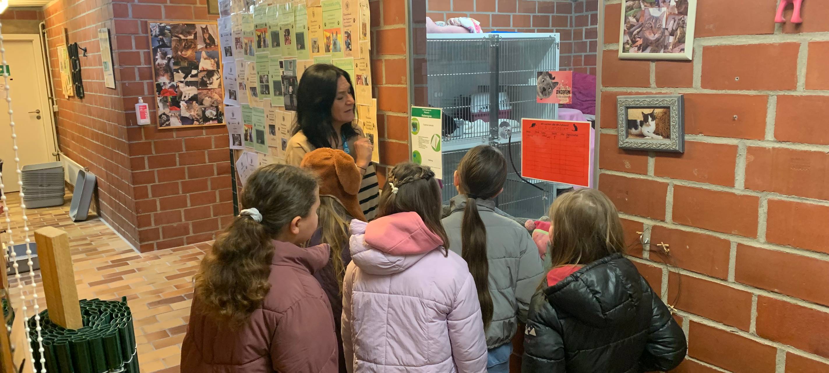 Tierheim Essen: Kinder basteln Geschenke für Tiere