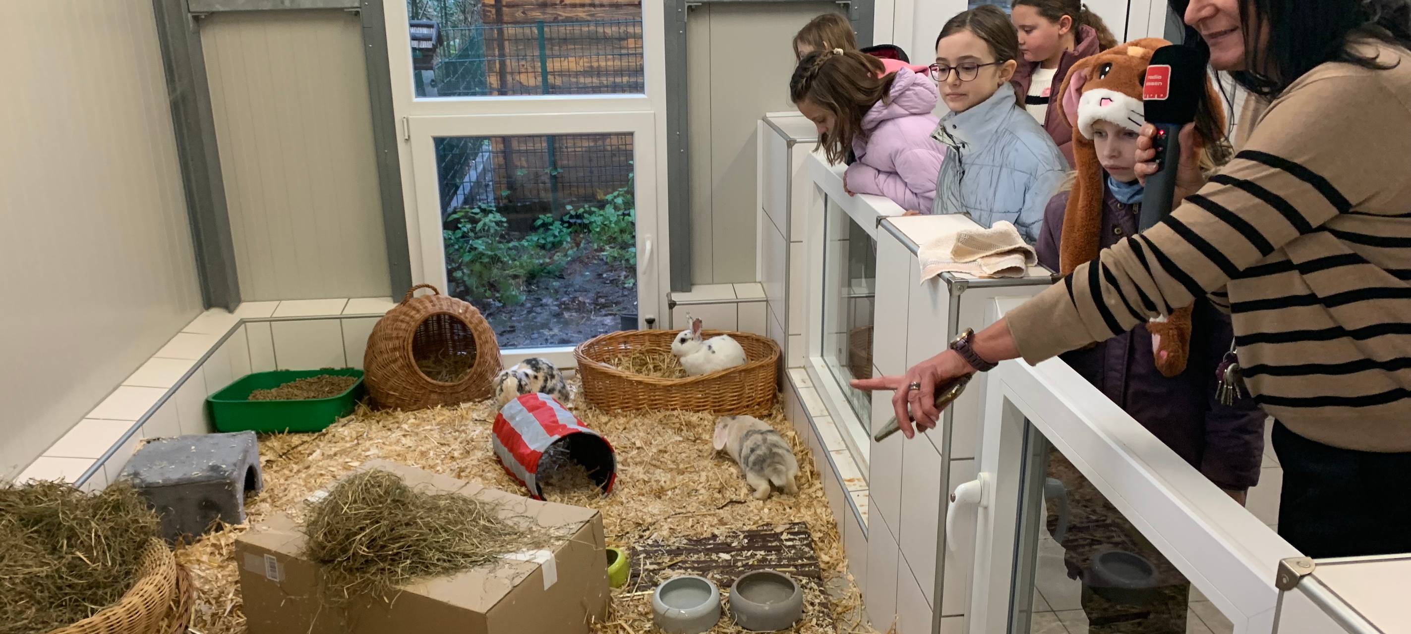 Tierheim Essen: Kinder basteln Geschenke für Tiere