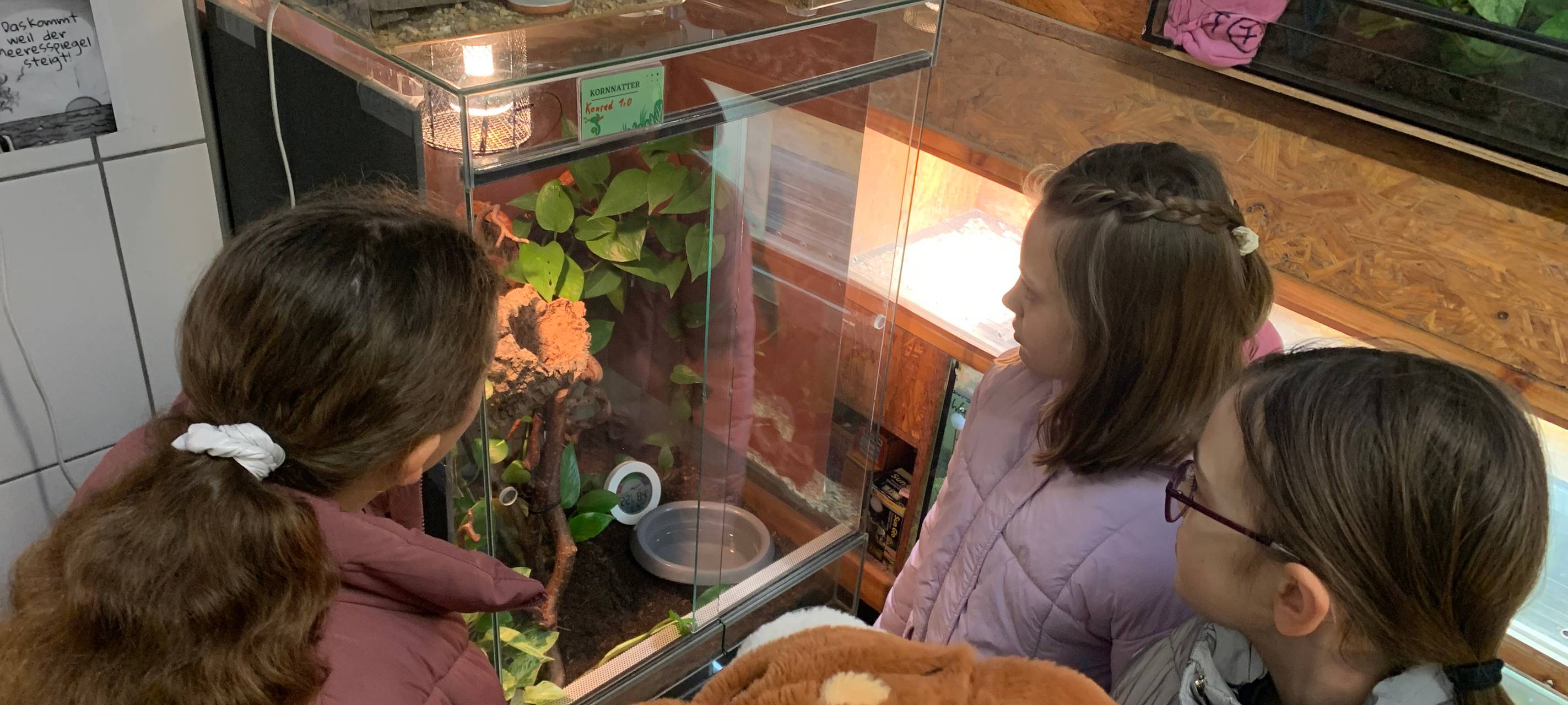 Tierheim Essen: Kinder basteln Geschenke für Tiere