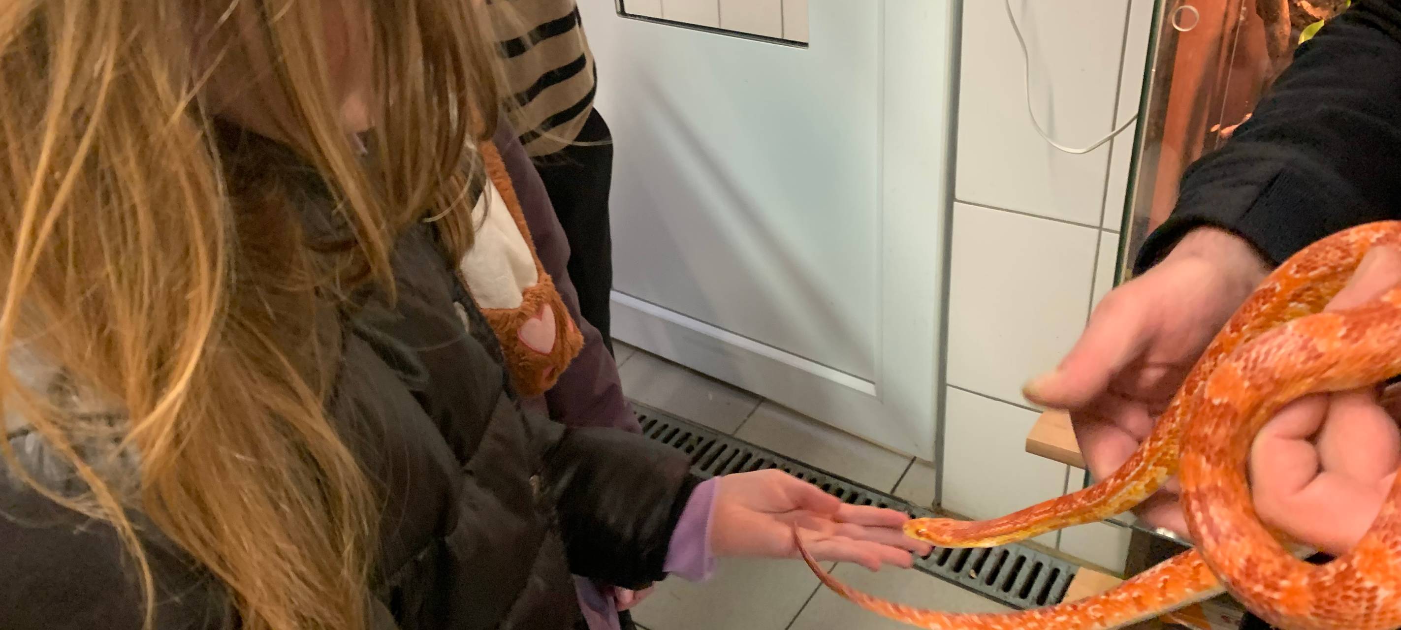 Tierheim Essen: Kinder basteln Geschenke für Tiere