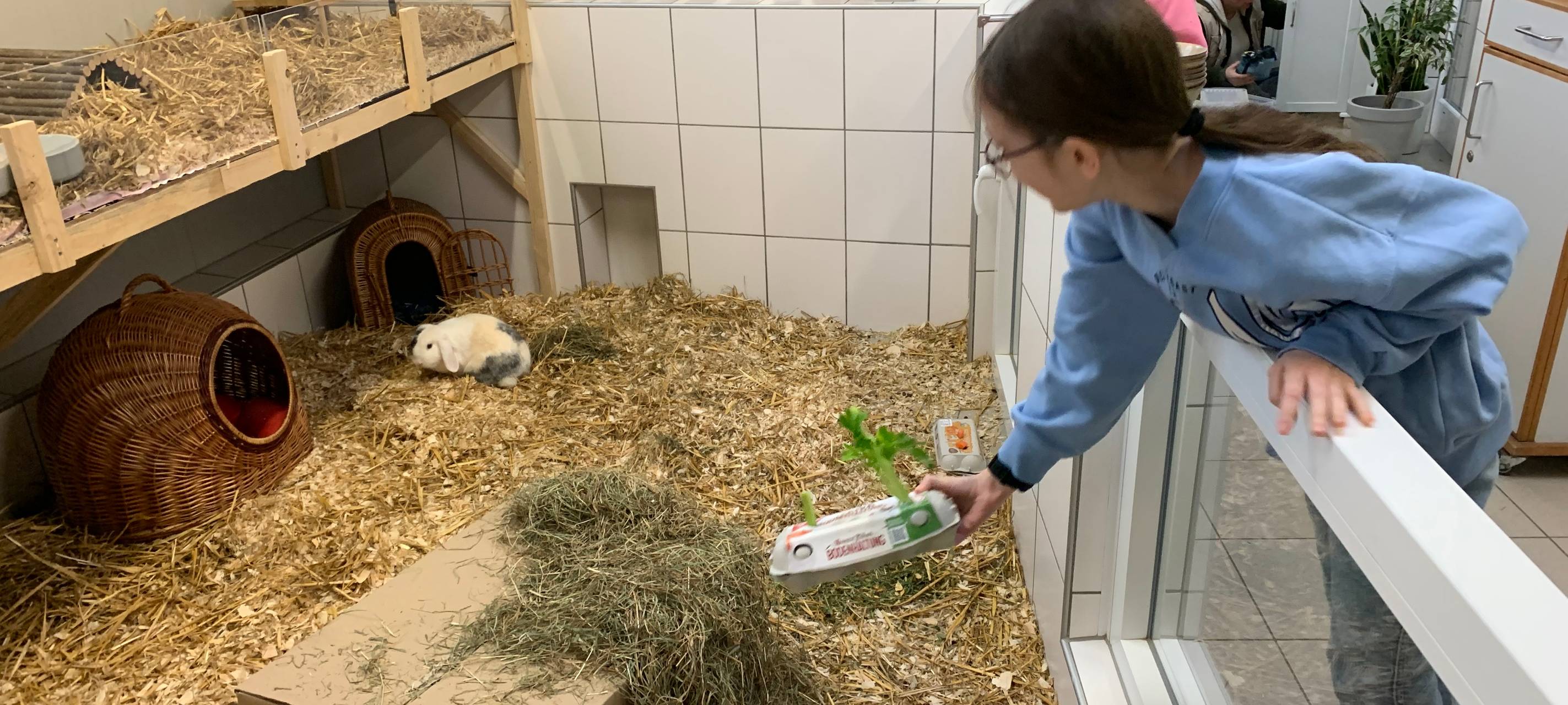 Tierheim Essen: Kinder basteln Geschenke für Tiere