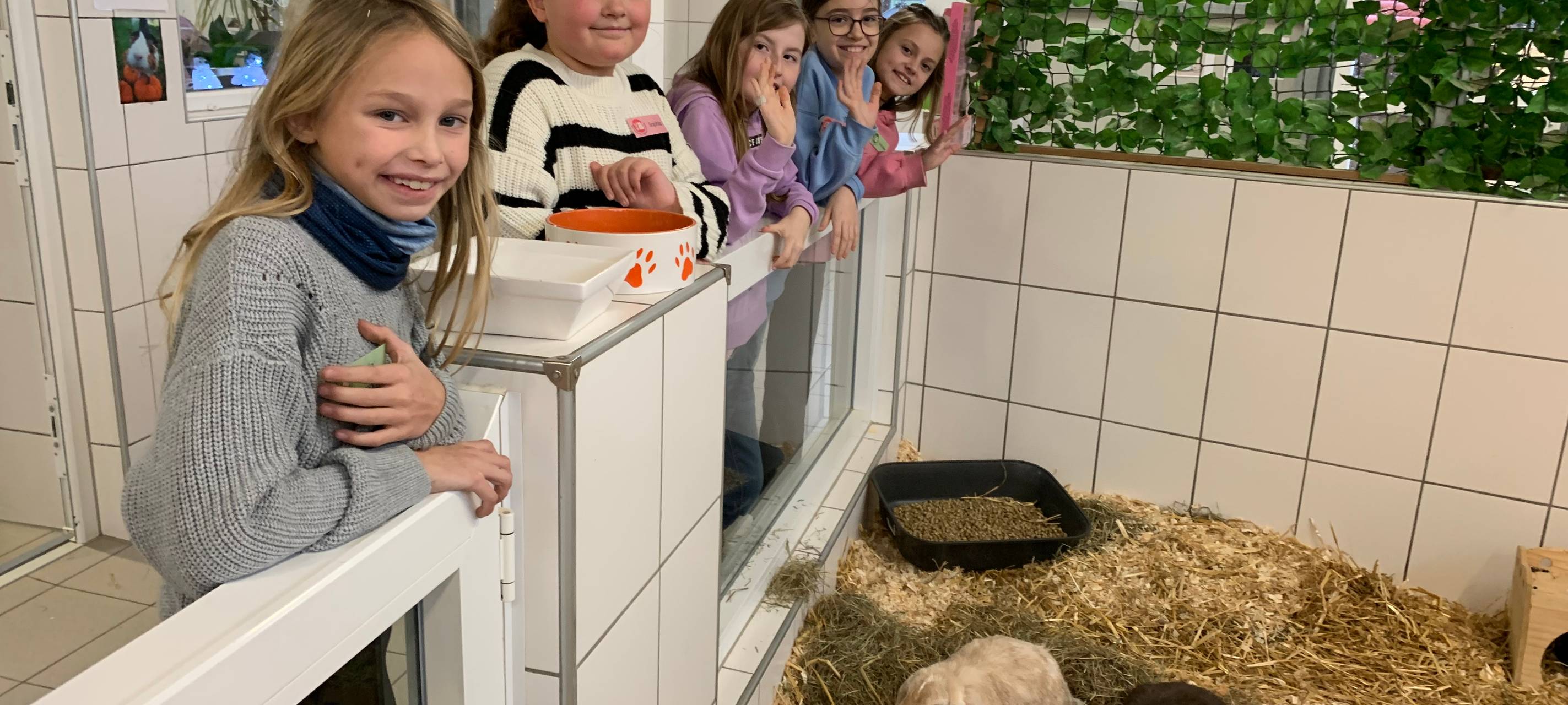 Tierheim Essen: Kinder basteln Geschenke für Tiere