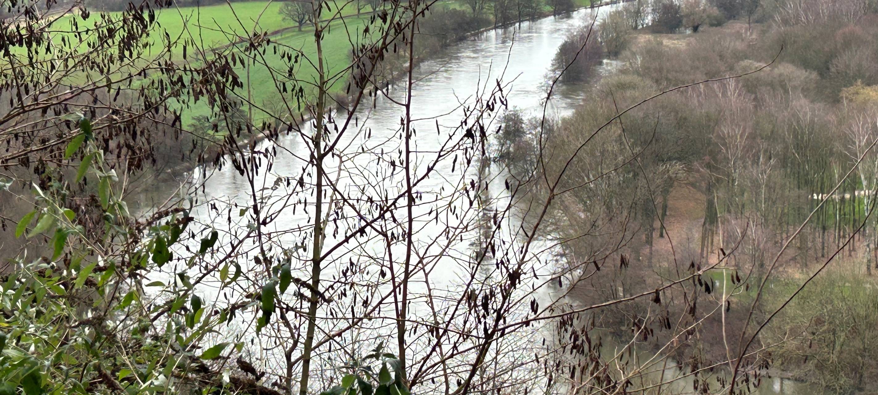 Winter in Essen: Viel zu warm und viel zu nass