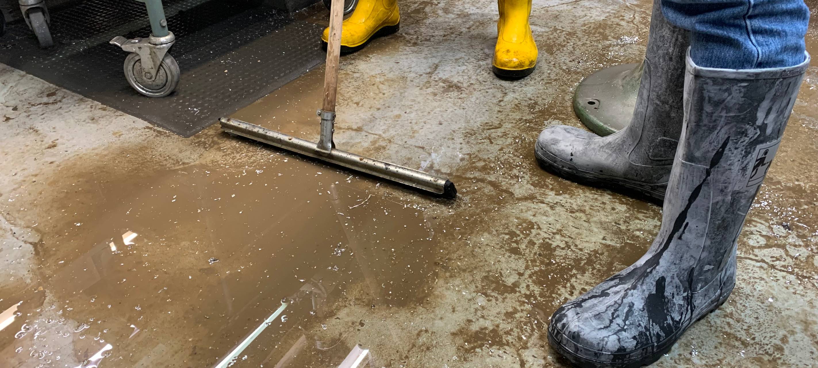 Hochwasser in Essen: Lage auf den Straßen - Deilbach über die Ufer gelaufen