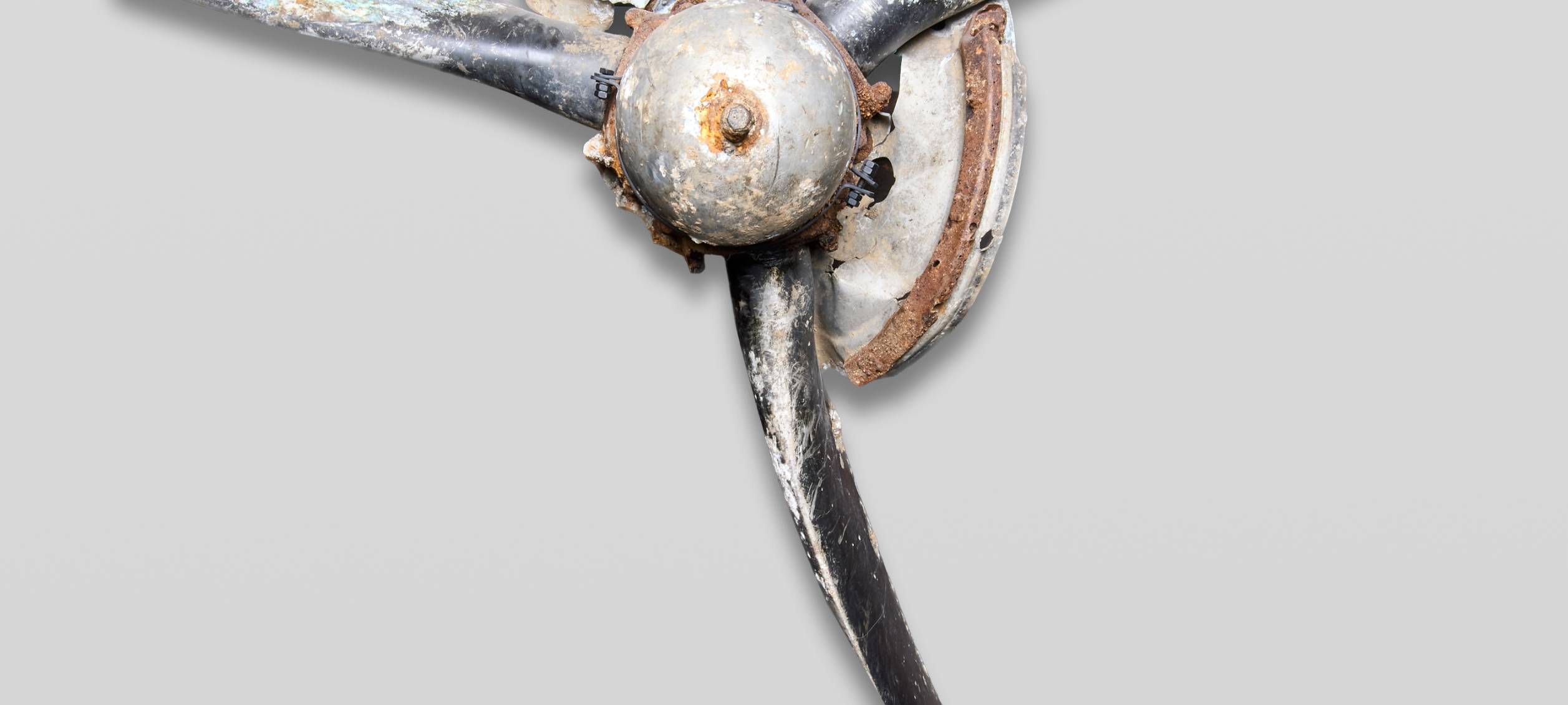 Besondere Ausstellung in Essen: Sind es Schätze oder Müll?