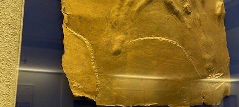 Kinos in Essen zeigen Filmreihe von Regisseur Wim Wenders