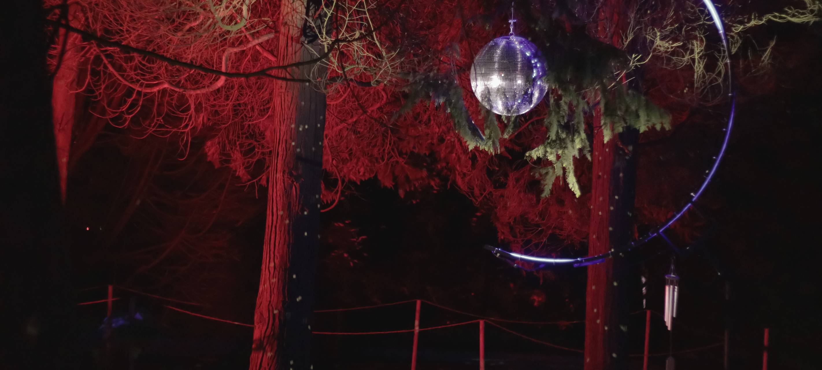 Parkleuchten in Essen: Öffnungszeiten und Preise für 2024