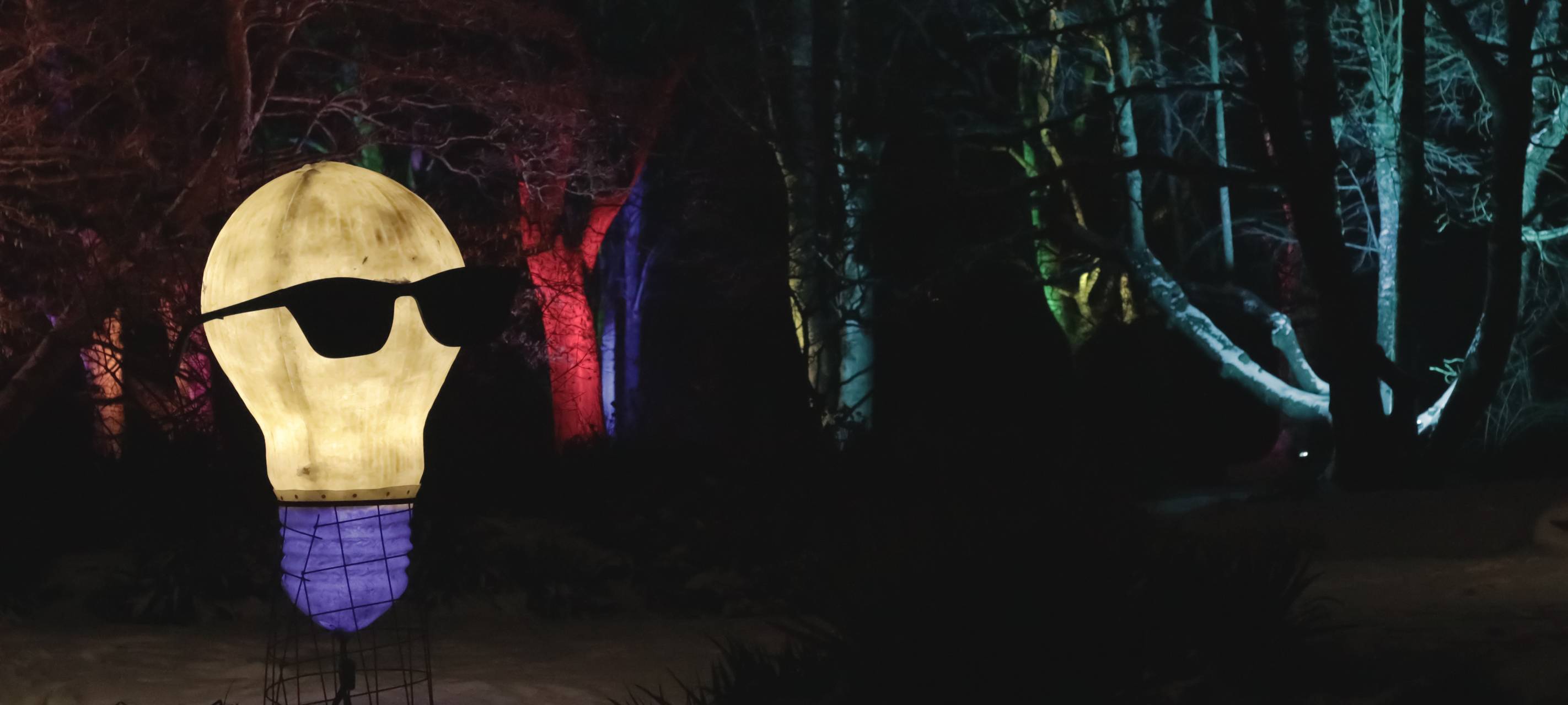 Parkleuchten in Essen: Öffnungszeiten und Preise für 2024