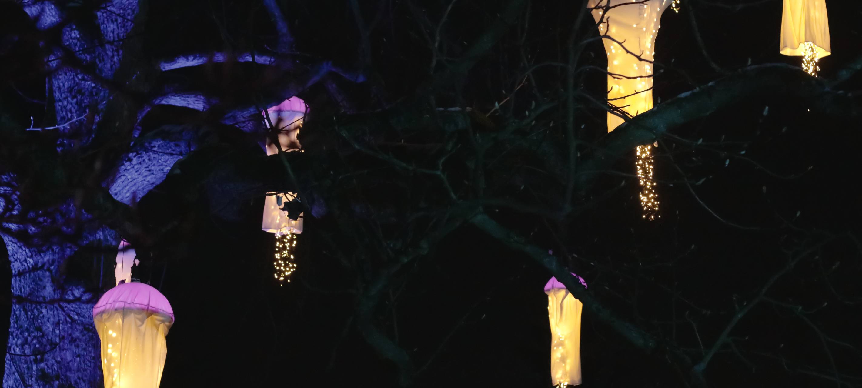 Parkleuchten in Essen: Öffnungszeiten und Preise für 2024