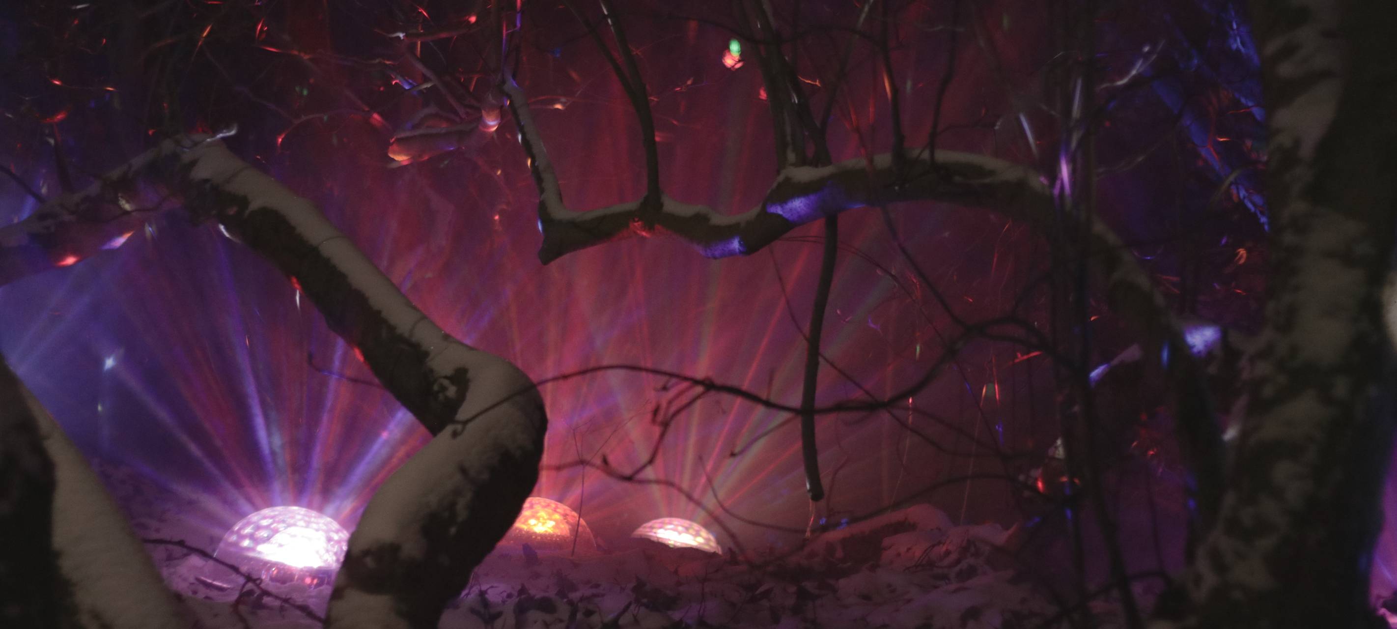 Parkleuchten in Essen: Öffnungszeiten und Preise für 2024