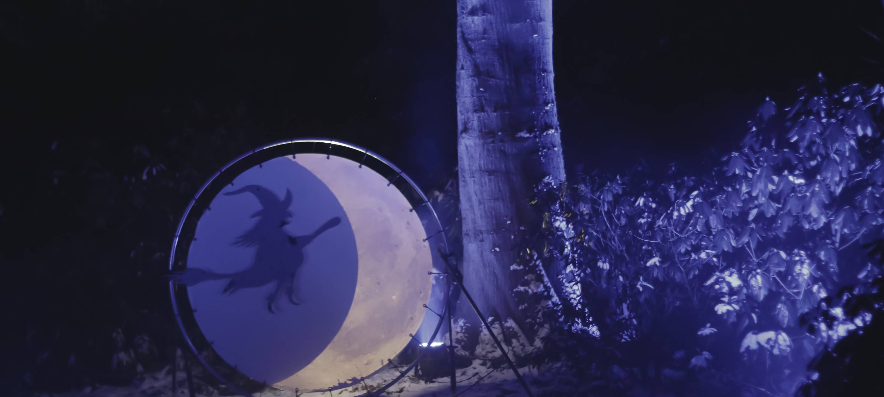 Parkleuchten in Essen: Öffnungszeiten und Preise für 2024