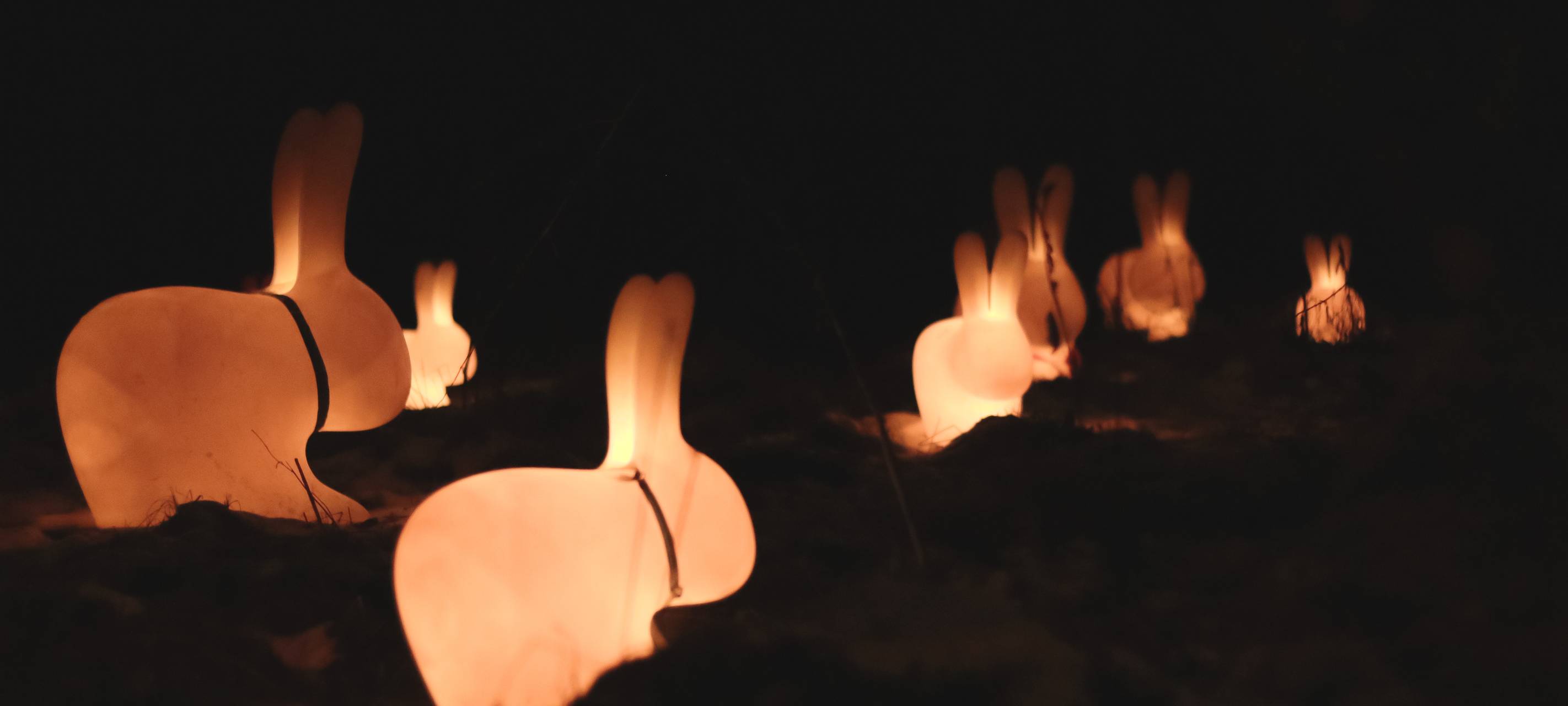 Parkleuchten in Essen: Öffnungszeiten und Preise für 2024