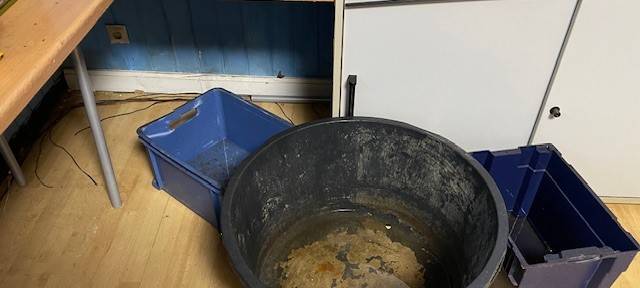 XXL-Carrerabahn in Essen vor dem Aus