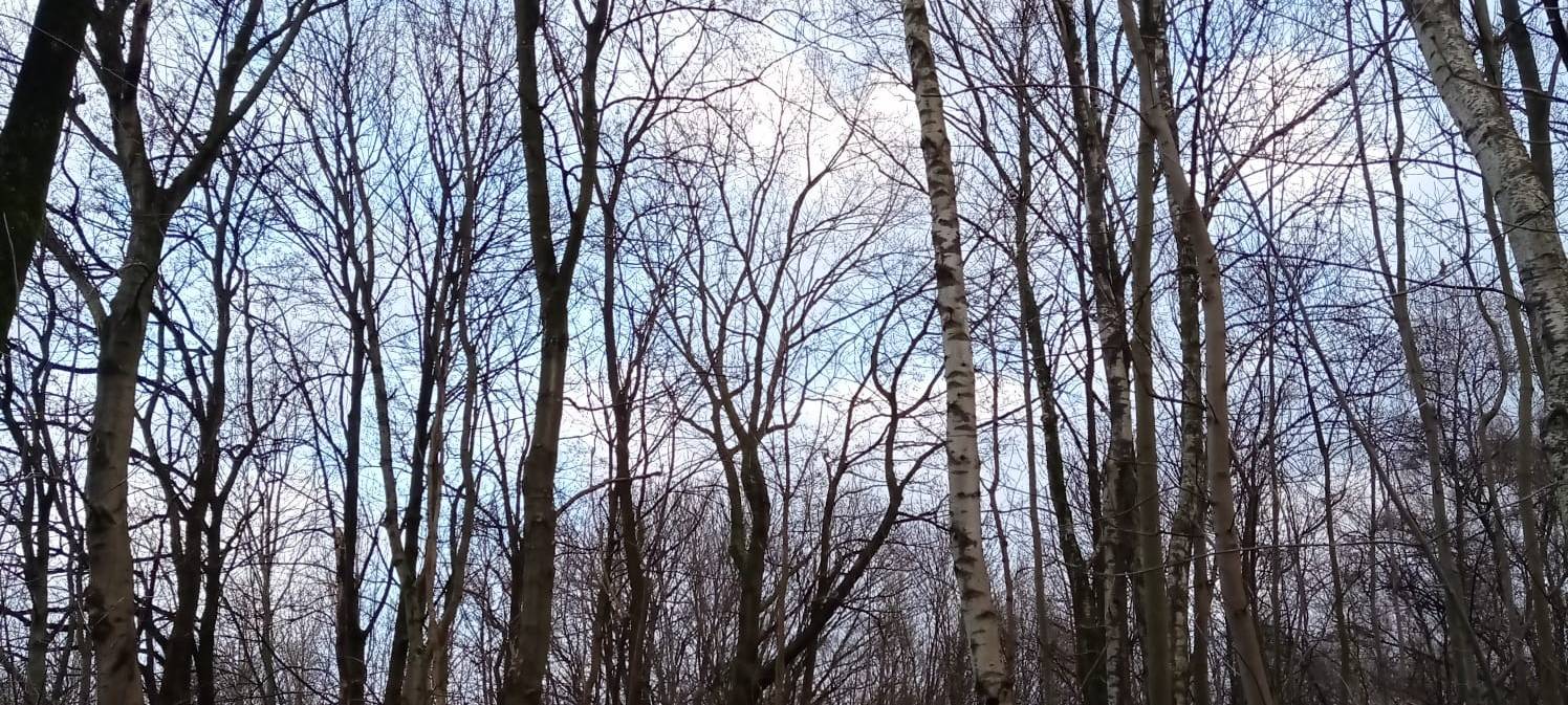 Wind und Sturm in Essen: So ist die aktuelle Lage