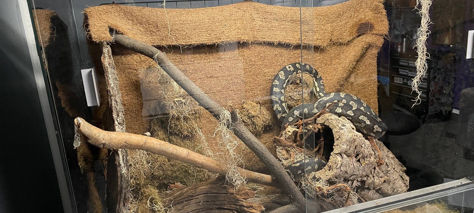 Tattoos in Essen für den guten Zweck