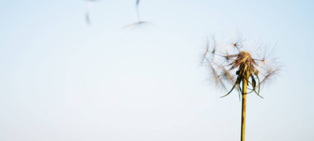 Erster Pollenflug in Essen: Das könnt Ihr tun