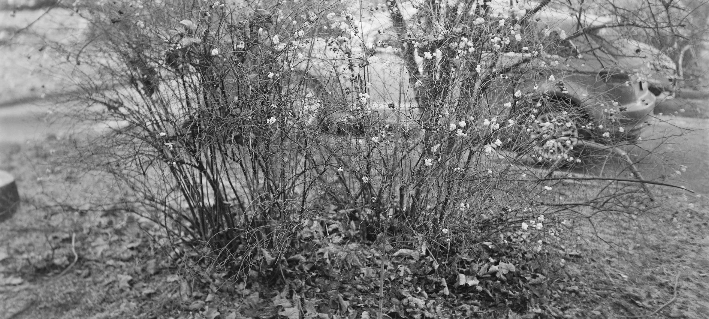 Fotografie-Talente aus Essen präsentieren ihre Arbeit im Museum Folkwang