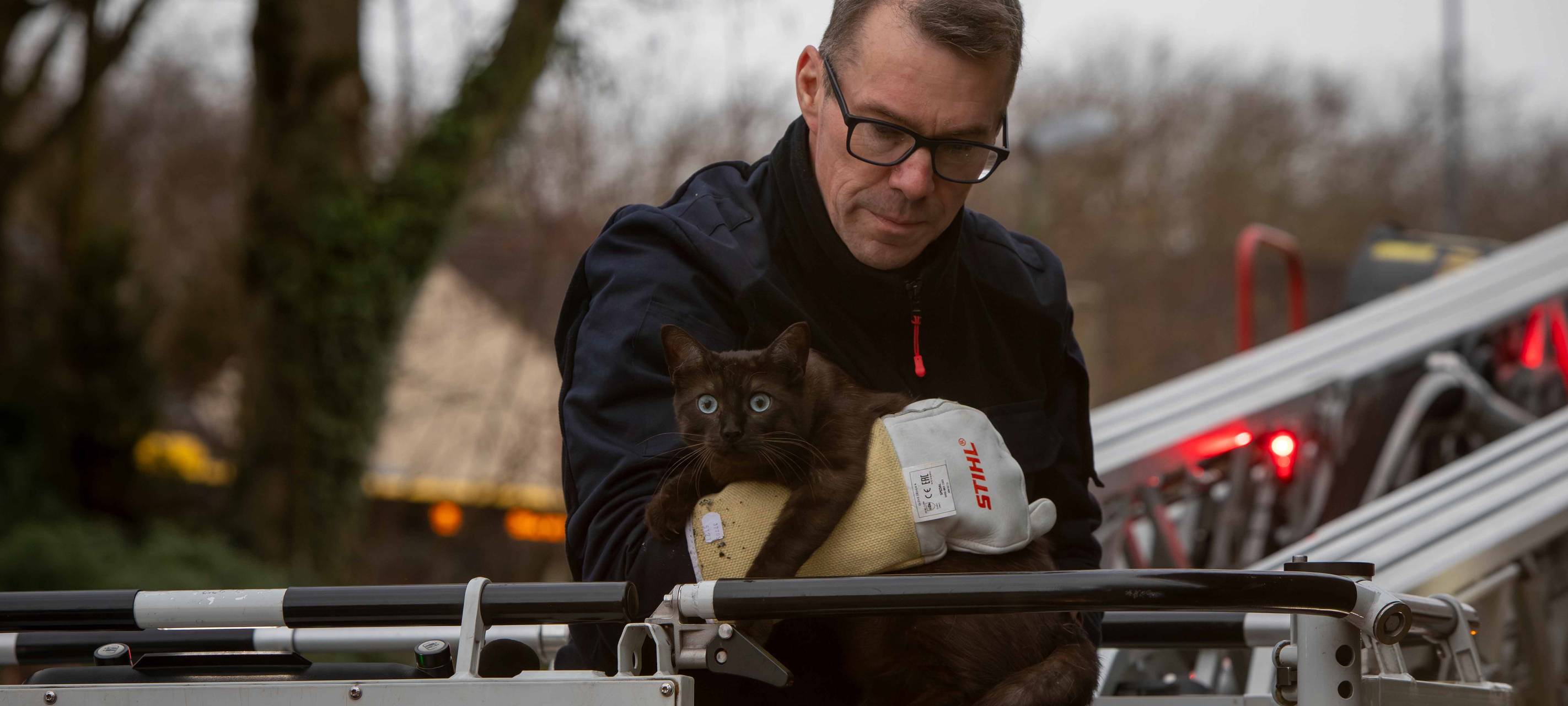 Feuerwehr Essen rettet Kater vom Dach