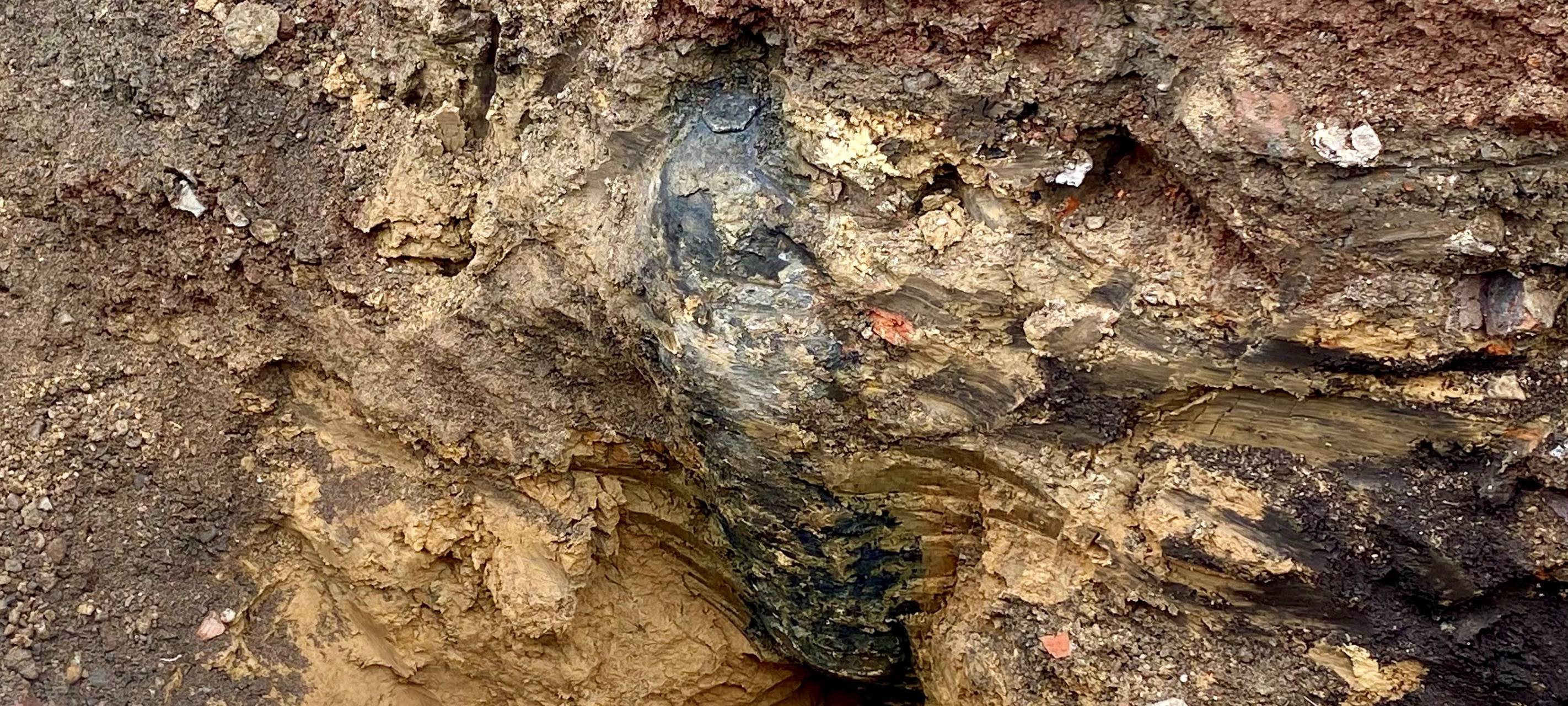 Bombe in Essen: Live-Ticker zur Bombenentschärfung in der Innenstadt