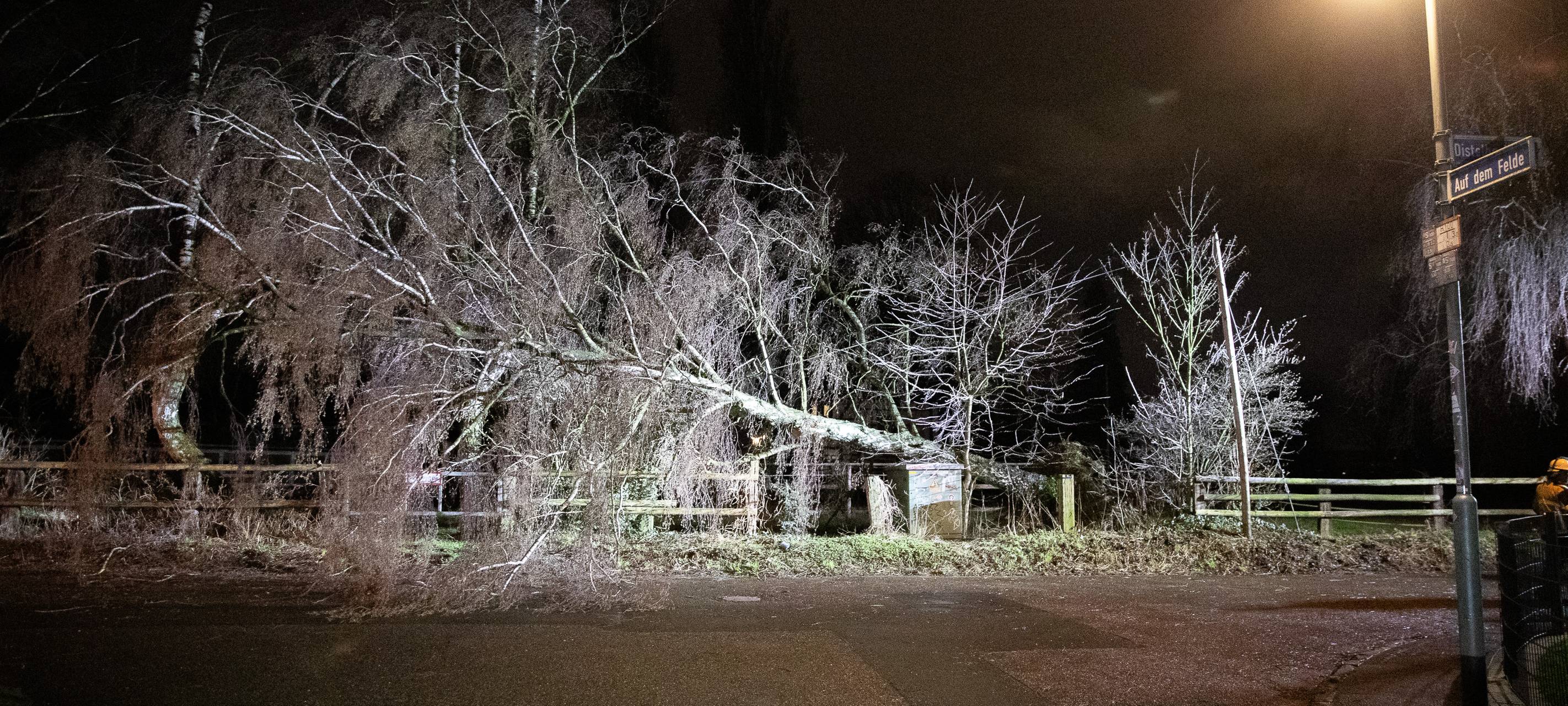 Sturm in Essen: Baum fällt auf Telefonmast