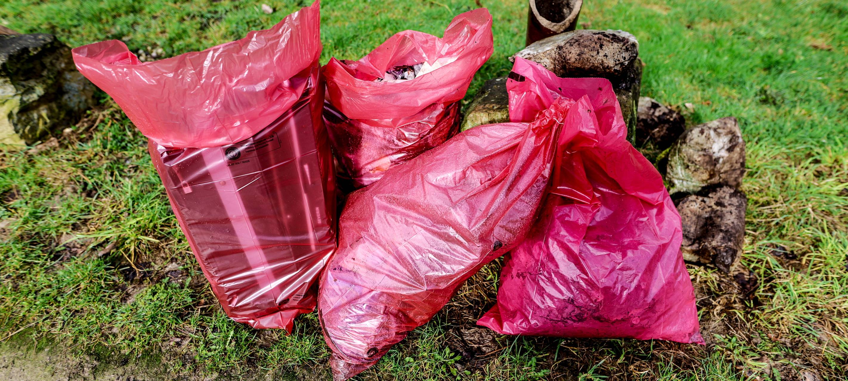 SauberZauber in Essen 2024