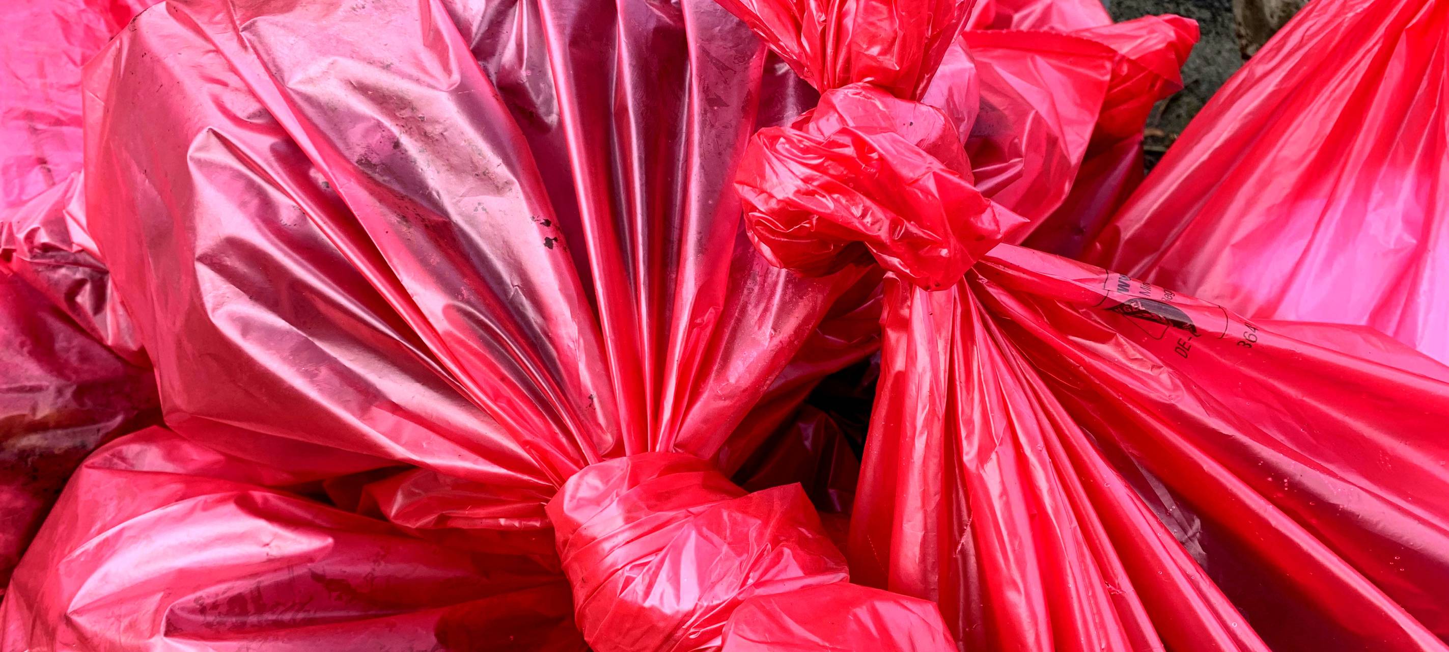 SauberZauber in Essen mit Teilnehmer-Rekord