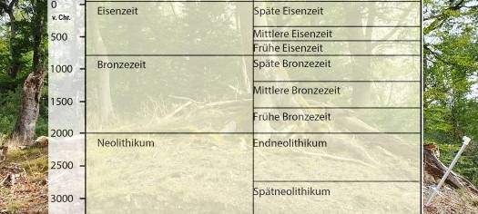 Historische Ringwallanlage in Essen offenbar viel älter als gedacht