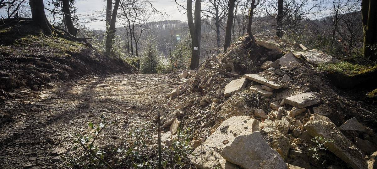 Historische Ringwallanlage in Essen offenbar viel älter als gedacht